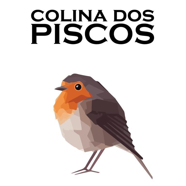 Colina Dos Piscos Casais da Abadia Exterior photo